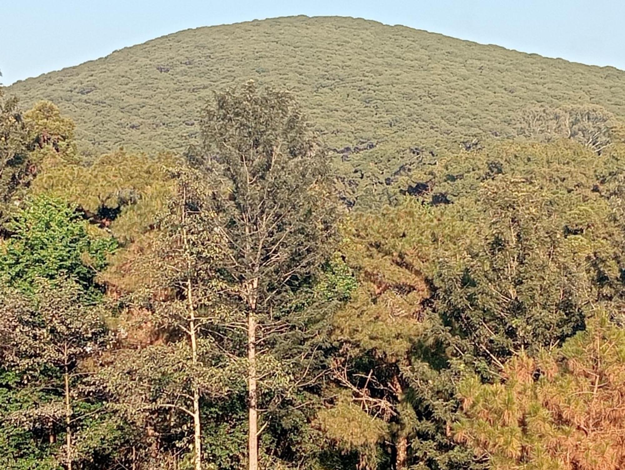 שילונג Rolyda Guest House מראה חיצוני תמונה